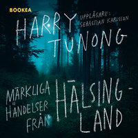 Märkliga händelser från Hälsingland - Harry Tunong