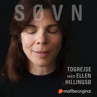 SØVN - Togrejse - Helena Kubicek Boye