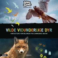 Vilde Vidunderlige Dyr - Fantastiske fortællinger fra Danmarks natur - DR Ramasjang