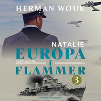 Europa i flammer 3 - Op mod vinden - Herman Wouk