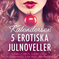 Kalendersex - 5 erotiska julnoveller - Camille Bech, Lisa Vild, Malin Edholm, Katja Slonawski, Elena Lund