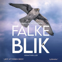Falkeblik - Tommy Thorsteinsson