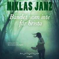 Bandet som inte får brista - Niklas Janz
