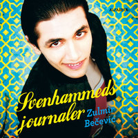 Svenhammeds journaler - Zulmir Becevic