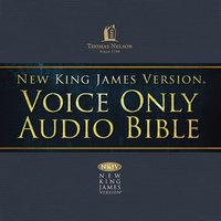 Voice Only Audio Bible - New King James Version, NKJV (Narrated by Bob Souer): (26) Luke: Holy Bible, New King James Version - Thomas Nelson