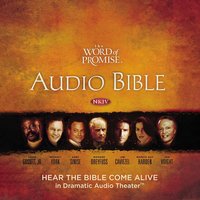 The Word of Promise Audio Bible - New King James Version, NKJV: (25) Mark: NKJV Audio Bible - Thomas Nelson