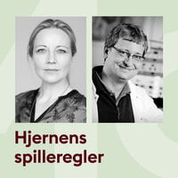 Hjernens spilleregler med Anette Prehn og Troels W. Kjær - Storydays