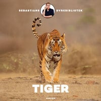 Sebastians dyrebibliotek - Tiger - Sebastian Klein