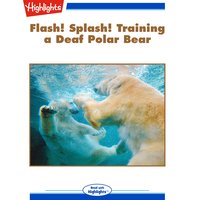 Flash! Splash! Training a Deaf Polar Bear - Mary Ann Hellinghausen