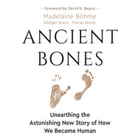 Ancient Bones: Unearthing the Astonishing New Story of How We Became Human - Madelaine Böhme
