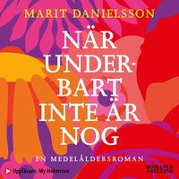 När underbart inte är nog : en medelåldersroman - Marit Danielsson