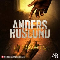 Litapåmig - Anders Roslund