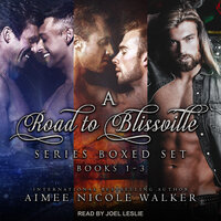 A Road to Blissville Series Boxed Set: Books 1-3 - Aimee Nicole Walker