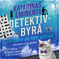 Detektiv på hett plåttak - Mattias Boström, Sofia Rutbäck Eriksson