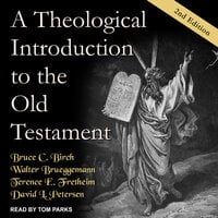 A Theological Introduction to the Old Testament: 2nd Edition - Walter Brueggemann, Bruce C. Birch, Terence E. Fretheim, David L. Petersen