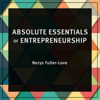 Absolute Essentials of Entrepreneurship - Nerys Fuller-Love