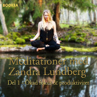 Ökad Fokus & produktivitet - Zandra Lundberg