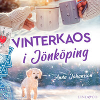 Vinterkaos i Jönköping - Anna Johansson