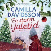 En storm i juletid - Camilla Davidsson
