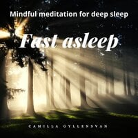 Fast asleep - Camilla Gyllensvan
