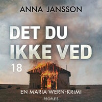 Det du ikke ved - Anna Jansson