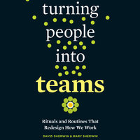 Turning People into Teams: Rituals and Routines That Redesign How We Work - David Sherwin, Mary Sherwin