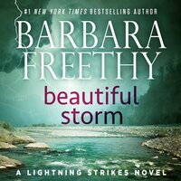 Beautiful Storm - Barbara Freethy