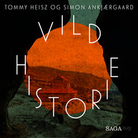 Branden i Stengade (Vild Historie) - Tommy Heisz, Simon Ankjærgaard