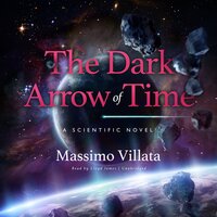 The Dark Arrow of Time: A Scientific Novel - Massimo Villata