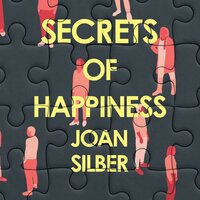 Secrets of Happiness - Joan Silber