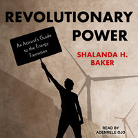 Revolutionary Power: An Activist's Guide to the Energy Transition - Shalanda H. Baker