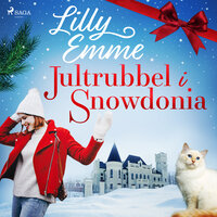 Jultrubbel i Snowdonia - Lilly Emme