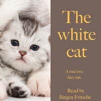 The white cat - Andrew Lang