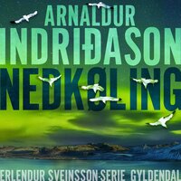 Nedkøling - Arnaldur Indriðason