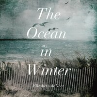The Ocean in Winter - Elizabeth de Veer