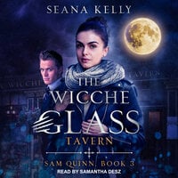 The Wicche Glass Tavern - Seana Kelly