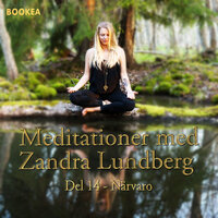 Närvaro - Zandra Lundberg