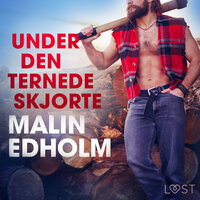 Under den ternede skjorte - Erotisk novelle - Malin Edholm