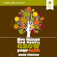 Five Things God Uses to Grow Your Faith: Audio Bible Studies - Andy Stanley