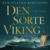 Den sorte viking: En saga - Bergsveinn Birgisson