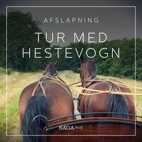 Tur med hestevogn - Rasmus Broe