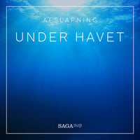Under havet - Rasmus Broe