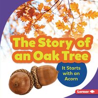 The Story of an Oak Tree: It Starts with an Acorn - Emma Carlson-Berne