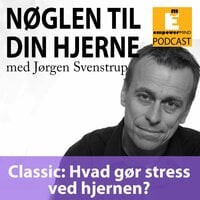 Classic: Hvad gør stress ved hjernen? - Jørgen Svenstrup