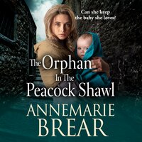The Orphan in the Peacock Shawl - AnneMarie Brear