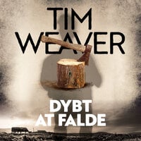 Dybt at falde - Tim Weaver