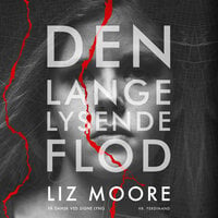Den lange lysende flod - Liz Moore