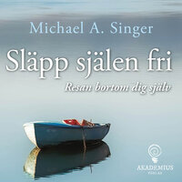 Släpp själen fri: Resan bortom dig själv - Michael A Singer