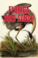 Florida Bird Songs - Donald J. Borror, Maurice L. Glitz