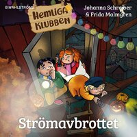 Strömavbrottet - Johanna Schreiber